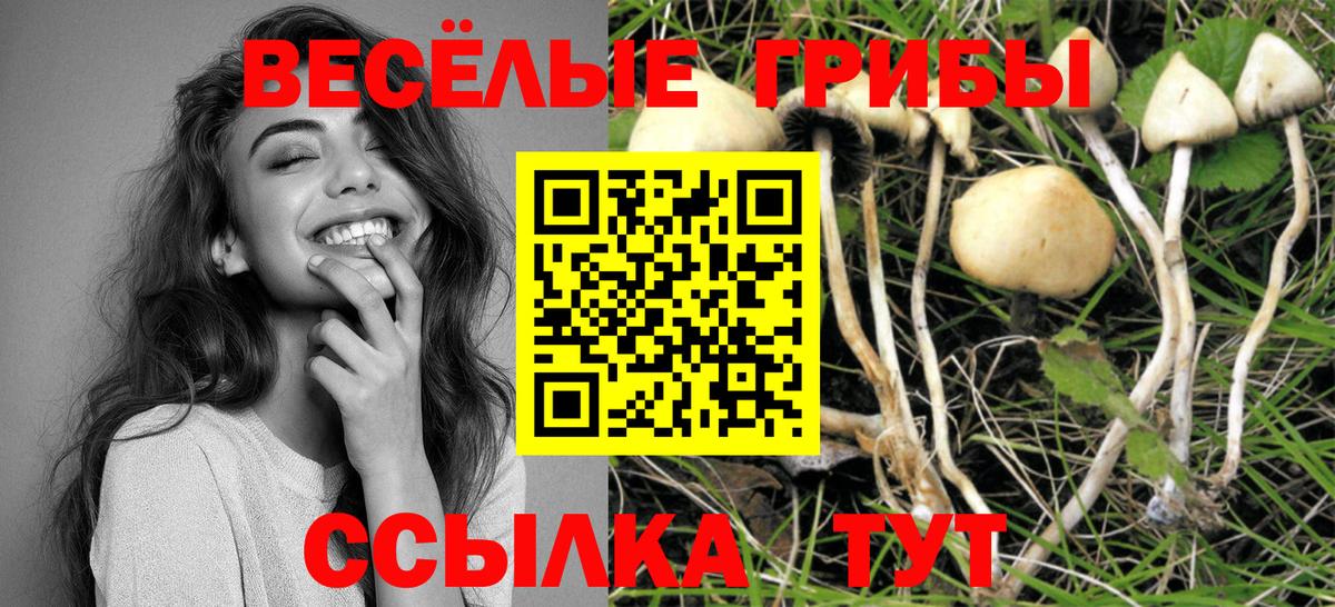 как найти закладки  Галлюциногенные грибы Magic Shrooms  Вход с VPN  Ефремов 